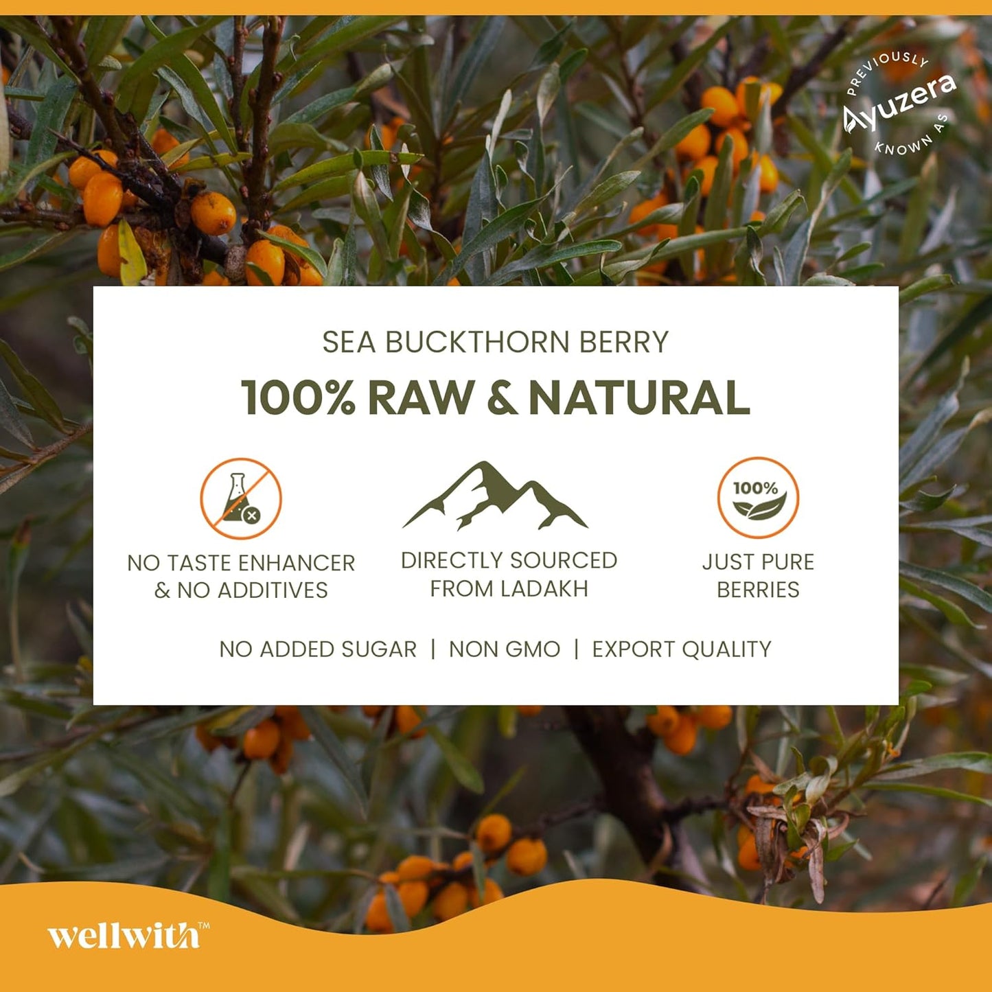 Wellwith by Ayuzera Himalayan Seabuckthorn Pulp Juice 300ml | Cold Pressed Daily Wellness Drink | Natural Vitamin C, Omegas & Antioxidants | For Immunity, Skin Radiance & Gut Wellness
