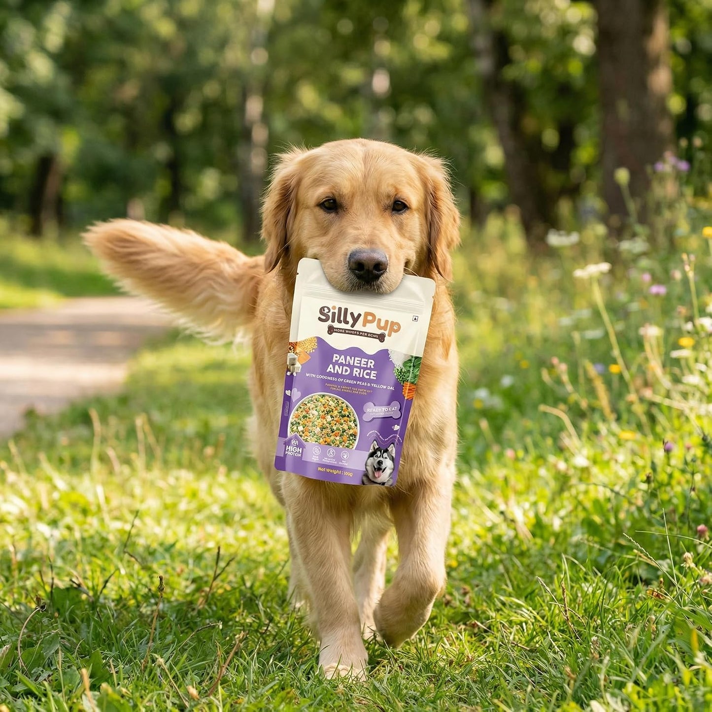 Silly Pup Paneer Dog Wet Food | Gently Cooked - Vegetarian | Real Paneer, Yellow Dal & Basmati Rice | Turmeric, Ashwagandha & Chia Seeds | Real Ingredients | Vet Crafted | 100g (1 Pouch - 100g)