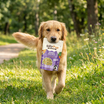 Silly Pup Paneer Dog Wet Food | Gently Cooked - Vegetarian | Real Paneer, Yellow Dal & Basmati Rice | Turmeric, Ashwagandha & Chia Seeds | Real Ingredients | Vet Crafted | 100g (1 Pouch - 100g)