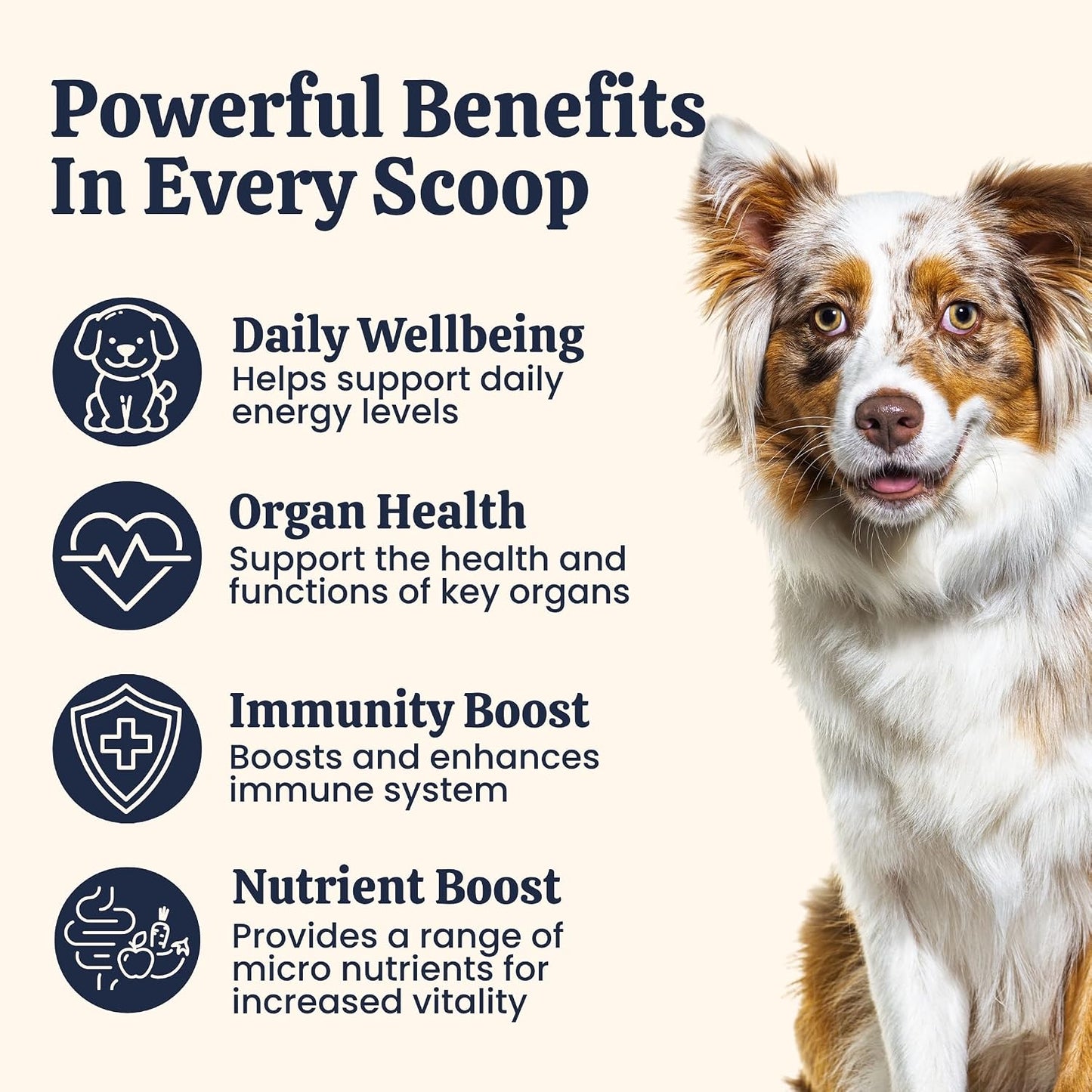My Fur Child Daily Multivitamins & Minerals for Dogs | Supports Immunity, Energy, Bone Health & Shiny Coat | Comprehensive Blend with 23+ Essential Vitamins andMinerals | Lasts up to 60 Days