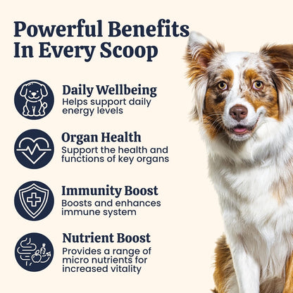 My Fur Child Daily Multivitamins & Minerals for Dogs | Supports Immunity, Energy, Bone Health & Shiny Coat | Comprehensive Blend with 23+ Essential Vitamins andMinerals | Lasts up to 60 Days