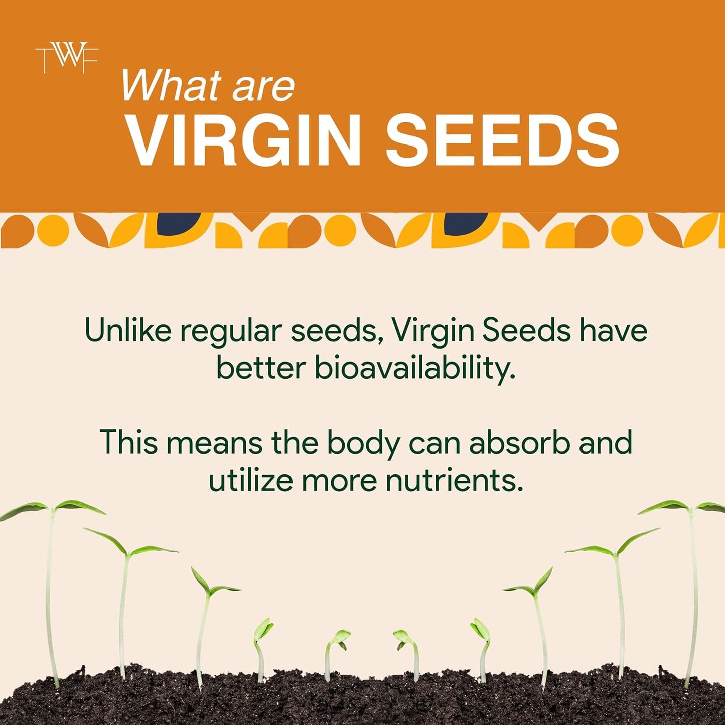 TWF Virgin Muskmelon Seeds | AAA Grade Seeds for Eating | 100% Natural | Kharbooja Magaj | Peeled | Gluten Free | Perfect for Snacking & Cooking | Resealable Pack | Diet Snack | Unroasted | Unsalted | Highest Natural Potency