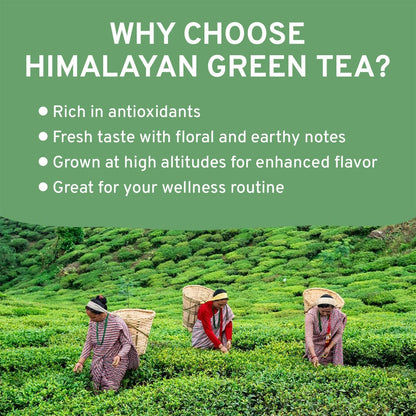 VAHDAM Organic Himalayan Green Tea - 100g | Rich in Antioxidants | Smooth & Non-Bitter | Grown Leaves from Himalayas | Non-GMO | Gluten Free