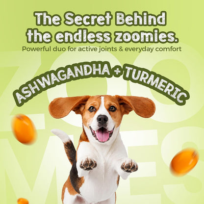 TailsAlive Jumpies+ Treats for Dogs | Joint & Mobility Support | No Added Sugar | Ashwagandha, Green-Lipped Mussel & Prebiotics | Banana | 100g