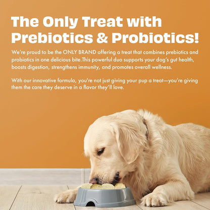Pawfect Yogurt Melties Freeze Dried Pre and Probiotic Dog Treats with Carrot, Flaxseed, Pea & Sweet Potato - Healthy Gut - Low Calories - Grain & Gluten Free - Reward or Training Treats (38g/1.34oz)