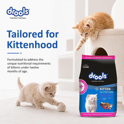 Drools Kitten Dry Cat Food 1.2kg | Ocean Fish Flavour | Promotes Soft Skin & Shiny Coat | Complete Nutrition | Supports Digestion | Aids Growth Development