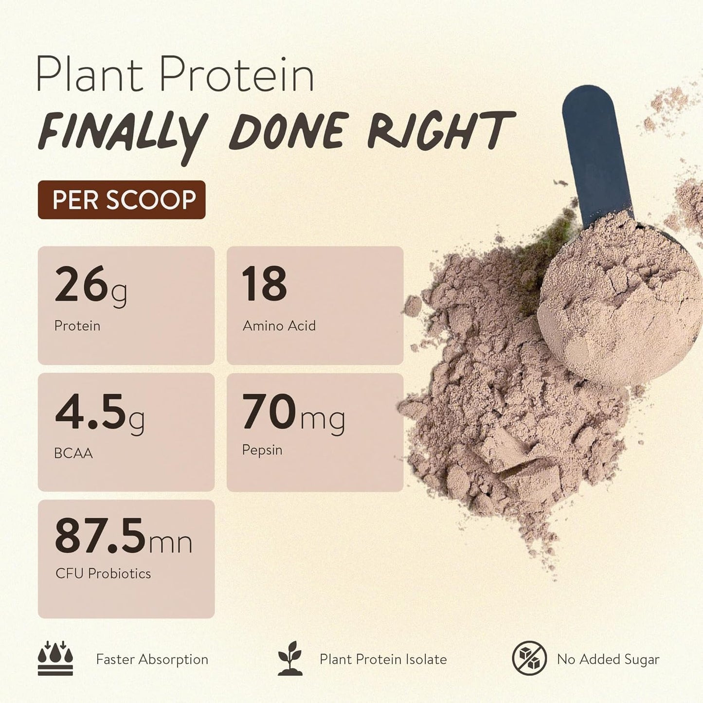Plant Protein, Vegan, Chocolate, Pea Protein, Brown Rice, Ashwagandha, KSM66, Probiotics, Dairy Free, No Sugar Added, Amino Acids, Digestive Health, Protein Powder, Muscle Recovery, Happy Cultures