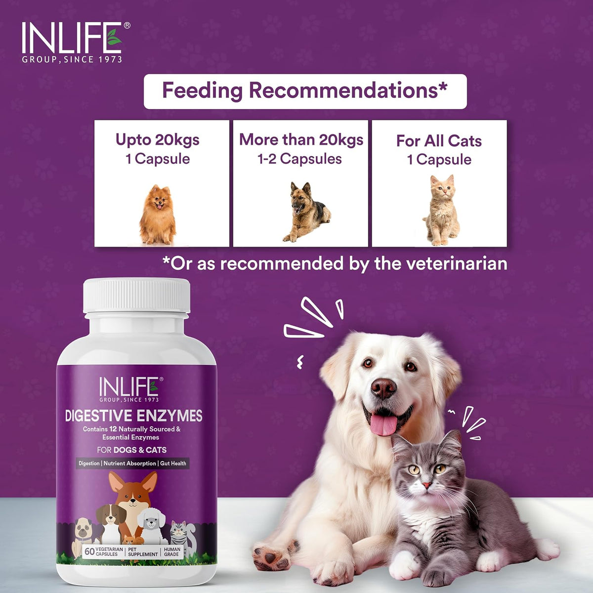 INLIFE Digestive Enzymes for Dogs Cats and Pets | Contains 12 Naturally Sourced & Essential Enzymes - 60 Vegetarian Capsules