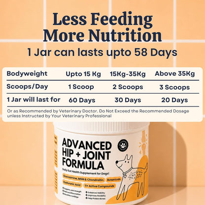 My Fur Child Advanced Hip & Joint Formula for Dogs | Promotes Joint Health, Mobility & Comfort | MSM, Glucosamine, Chondroitin, Curcumin, Hyaluronic Acid and More | Lasts up to 60 Days