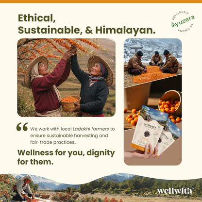 Wellwith by Ayuzera Sea buckthorn Dry Berry 100g – Natural, Sun-Dried, Rich in Omega 3,6,7 and 9, & Vitamin C, E | Dried Seabuckthorn Berries | No Added Sugar or Preservatives