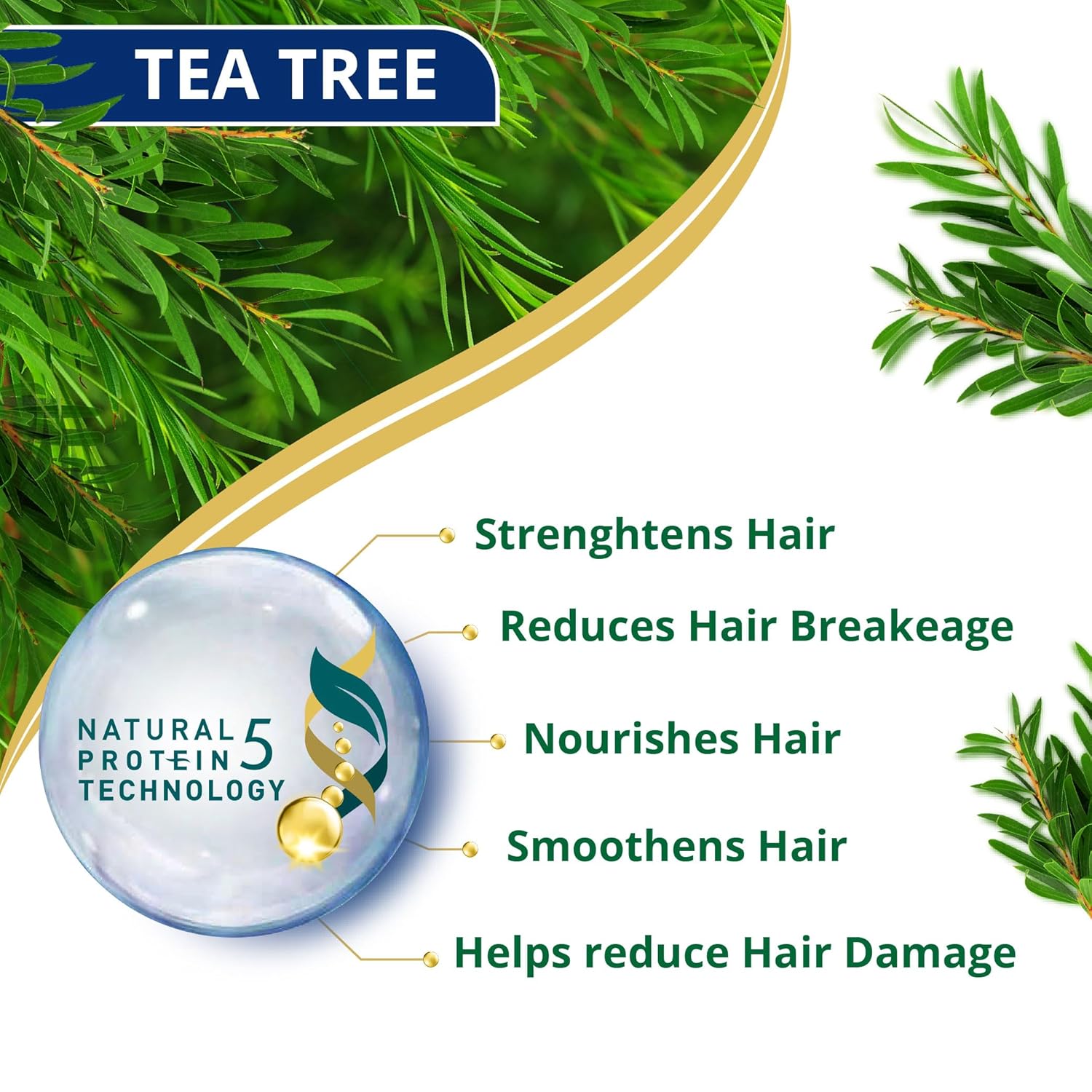 Tea tree leaves with a natural protein technology ball and text highlighting benefits on a white background