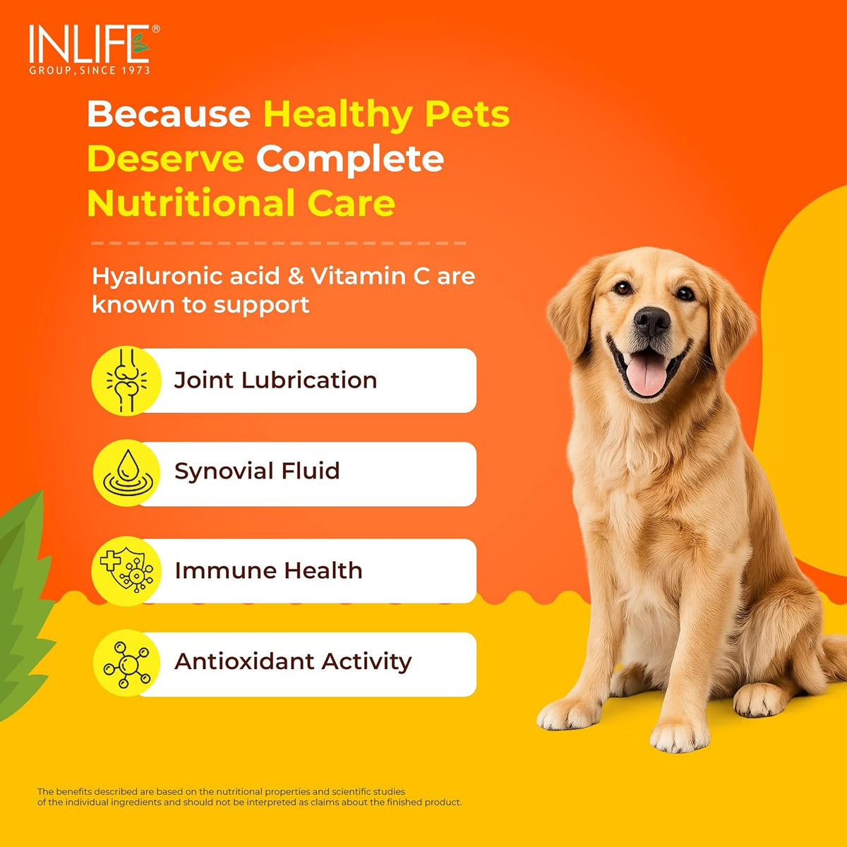 INLIFE Collagen Peptides Supplement Dogs Cats, Glucosamine 200g Orange | Joint Lubrication, Synovial Fluid, Immune Health, Antioxidant Activity, Human Grade, Palatable