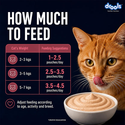 Drools Adult Cat Wet Mousse 80g Pack of 5, 400g | Salmon Flavour | Rich in Protein | Promotes Hydration & Easy to Digest | No Artificial Flavours | Packed with Essential Vitamins & Antioxidants