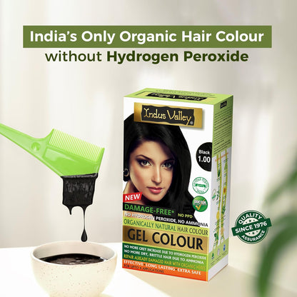INDUS VALLEY Damage Free Natural Gel Hair Colour for Women | Ammonia & PPD Free Organic Hair Colour with 100% Grey Coverage, Long Lasting Conditioning Hair Color | Black 1.00-220 ml