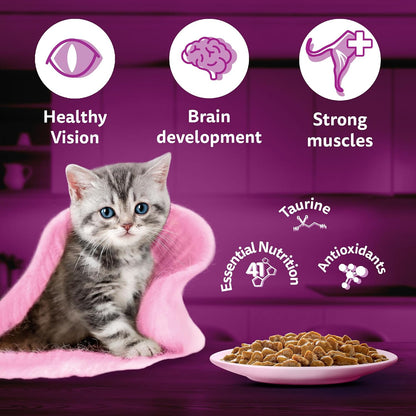 Whiskas Junior Kitten (2-12 Months) Wet Cat Food, Tuna in Jelly, 80 g, Hydrating Food Made With Real Fish, 100% Complete & Balanced Nutrition for Kittens