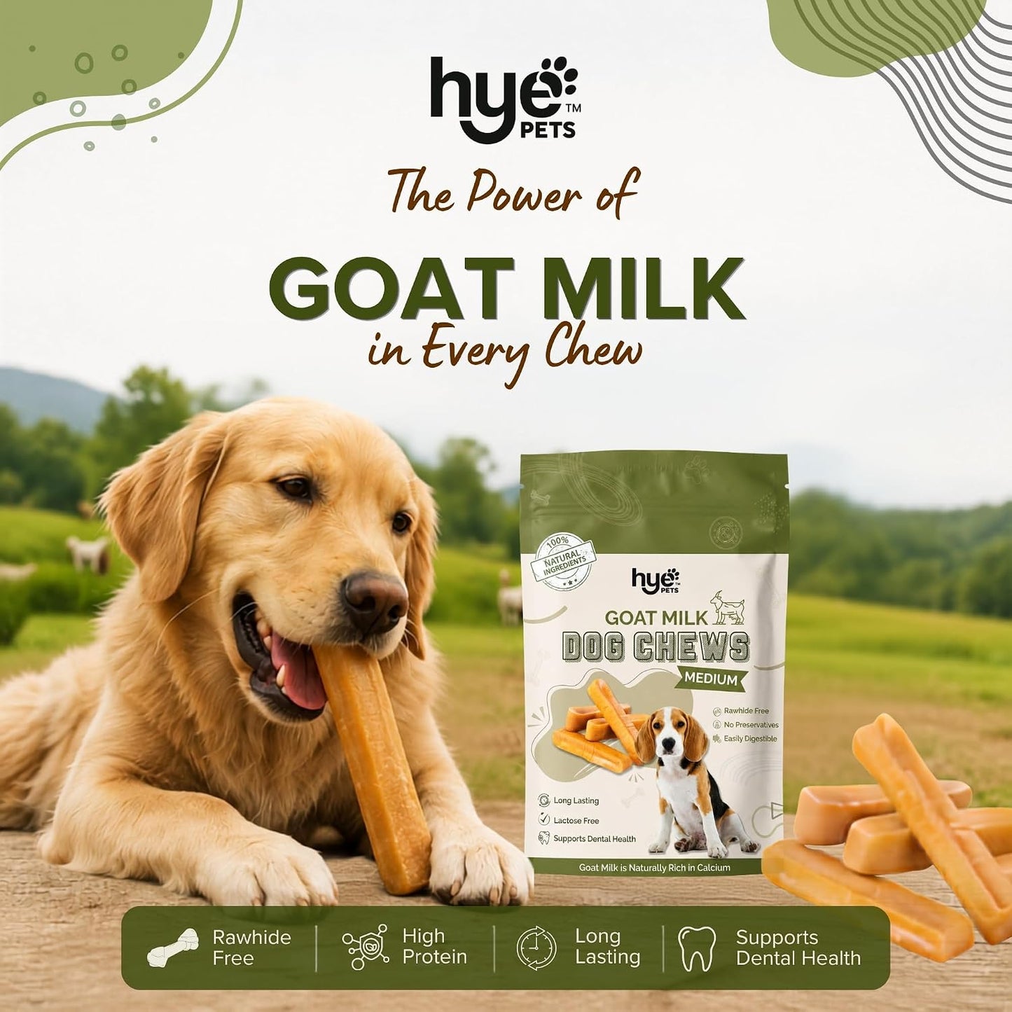 HYE Pets Goat Milk Dog Chews, Rawhide Free Long Lasting Natural Chew Treats, High Protein & Calcium Rich, Easily Digestible Dental Chews, Medium - 2 Chews
