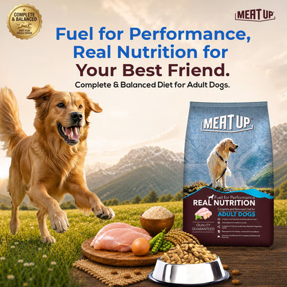 Meat Up Adult Dry Dog Food 1.2kg | Chicken Flavour | Healthy Skin & Coat | Antioxidants | Enriched with Vitamins & Minerals