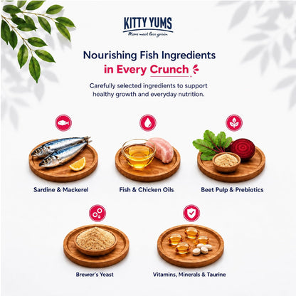 Kitty Yums Kitten (1-12 Months) Dry Cat Food 1.2kg Pack | Ocean Fish Flavour | Support Digestive Health | Strong Vision Development | Strong Immune System