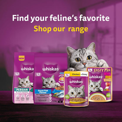 Whiskas Adult Dry Cat Food Chicken Flavour 1.2kg, Complete & Balanced Meal