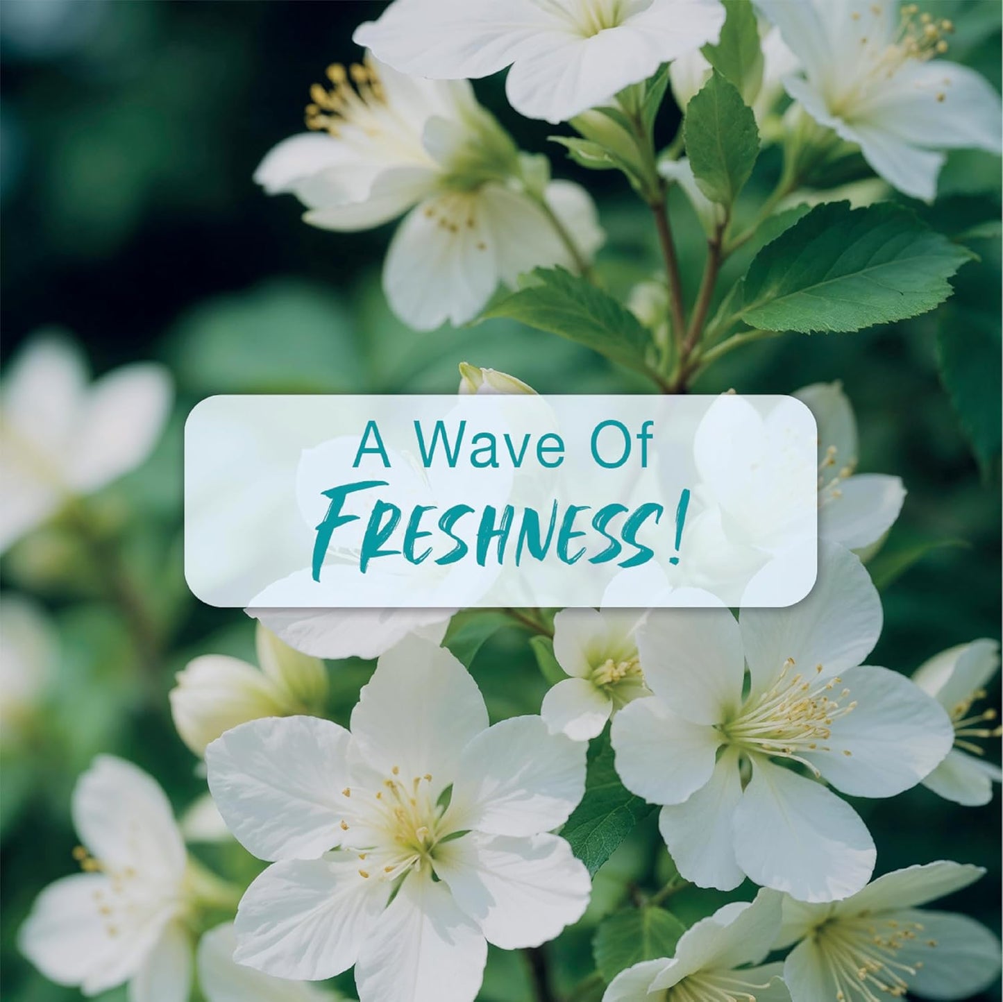White flowers with green leaves and a text overlay 'A Wave Of Freshness!' on a blurred green background.