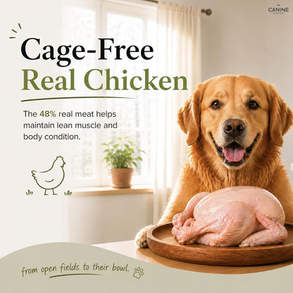 Canine Creek Ultra Premium Adult Dry Dog Food, 1.2 kg Pack