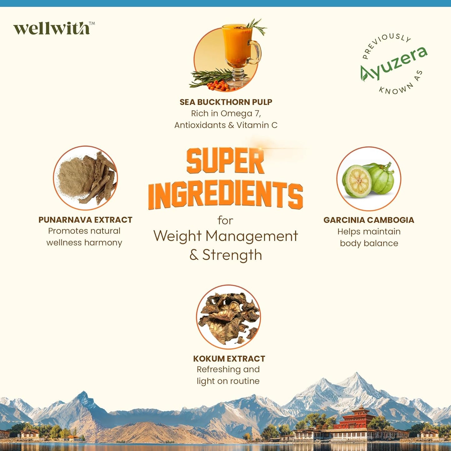 Wellwith Sea Buckthorn Fitwin(Fitwell) Juice 300ml | Makes 50 Glasses | Natural Vitamin C, Omega 3 6 7 9, Antioxidants | Immunity, Skin Glow & Gut Health Support | Herbal Juice Supplement