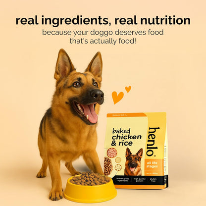 Henlo Baked Chicken & Rice Dry Dog Food | 100% Human Grade Ingredients | 800G | Dry Food for Adult Dogs & Puppies