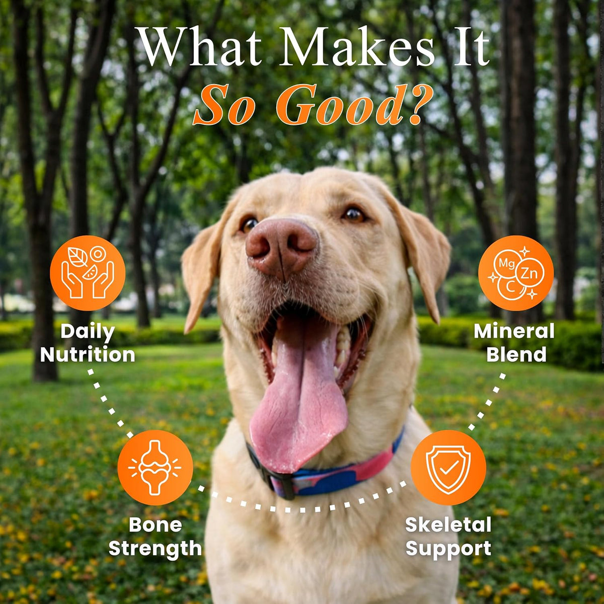 Petroyale Multivitamin Chews for Dogs - Dog Multivitamin Tablets - Dog Health Supplement - Daily Supplements for Dogs - for Growth, Stamina, Strength, Fur & Immunity - 50 Soft Chews