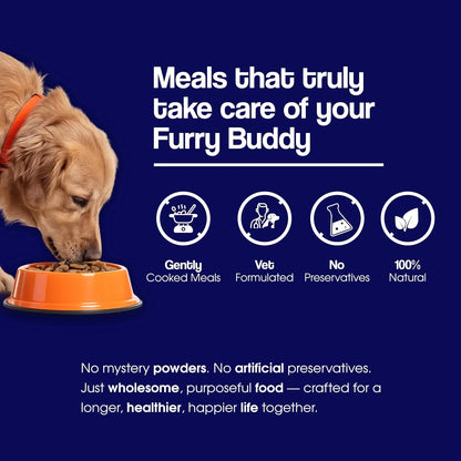 Wuuff&Meow Super Feast+ Gently Cooked Dog Food | Vet-Formulated Superfood Functional Fresh Food for Dogs | Powered By BIOFIBER™ Arbocel® Plant-Based Fiber | (100 g (Pack of 1))