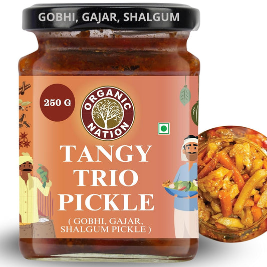 ORGANIC NATION Deliciously Tangy Gobhi Gajar Shalgam Pickle | Homemade Pickles with Authentic Flavor | Mixed Pickle Made with Fresh Ingredients | Organic Pickle 250g Jar, Vibrant Color