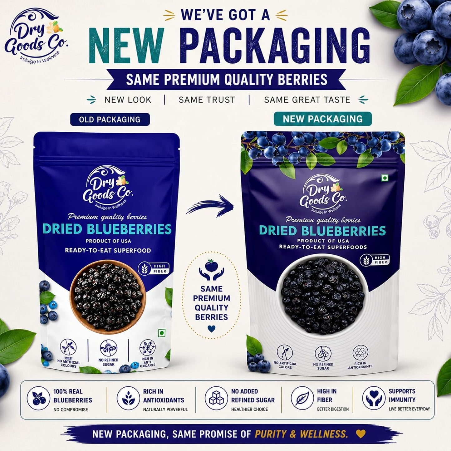 DRY GOODS CO. Dried Blueberries 200g No Added Sugar Premium Berry Snack