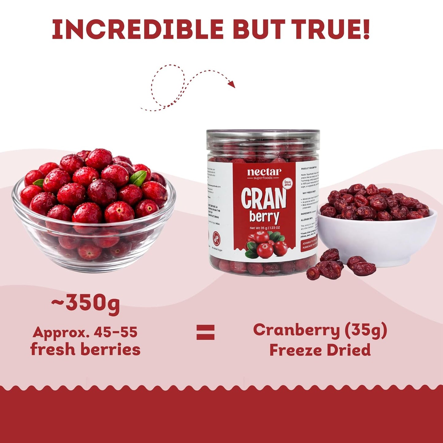 Freeze Dried Cranberry – 35g Jar Pack of 1 | 100% Natural Cranberries | No Added Sugar | Tangy & Crispy Healthy Snack |