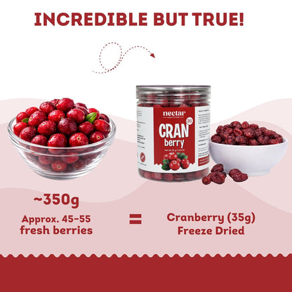 Freeze Dried Cranberry – 35g Jar Pack of 1 | 100% Natural Cranberries | No Added Sugar | Tangy & Crispy Healthy Snack |
