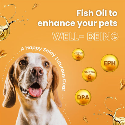 Bark out Loud by Vivaldis Glow & Shine Turmeric Chewstix - Fresh Chicken Stick Cat & Dog Treats with Pumpkin & Grape Seed Extract for Shiny Skin & Coat- Dogs & Cats of All Life Stages 100g
