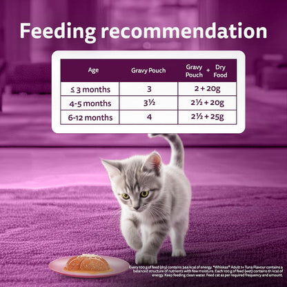 Whiskas Junior Kitten (2-12 Months) Wet Cat Food, Chicken with Salmon in Jelly, 80 g, Hydrating Food Made with Real Fish, 100% Complete & Balanced Nutrition for Kittens