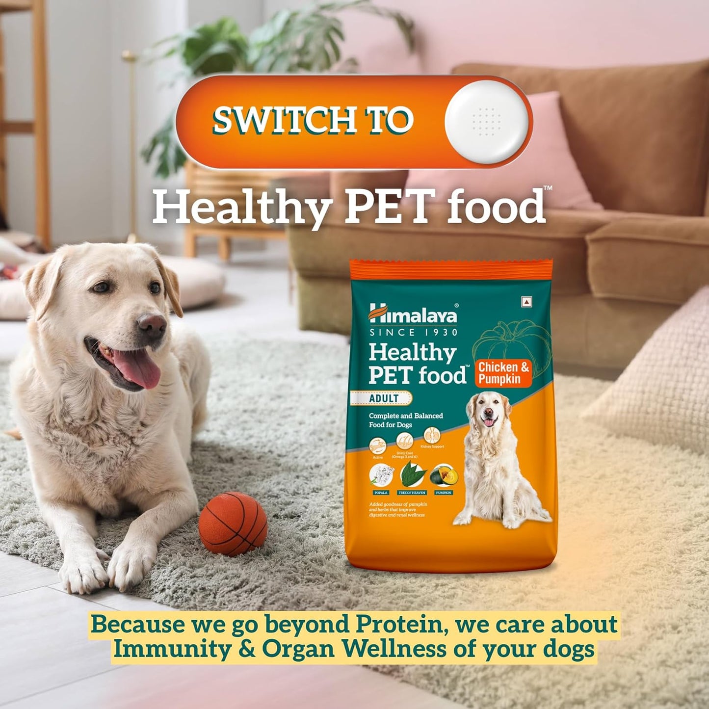 Himalaya Healthy PET Food for Adult Dogs | Chicken & Pumpkin | 1.2kg | Complete & Balanced Nutrition with Mountain Knot Grass, Tree of Heaven, Guduchi & Pumpkin