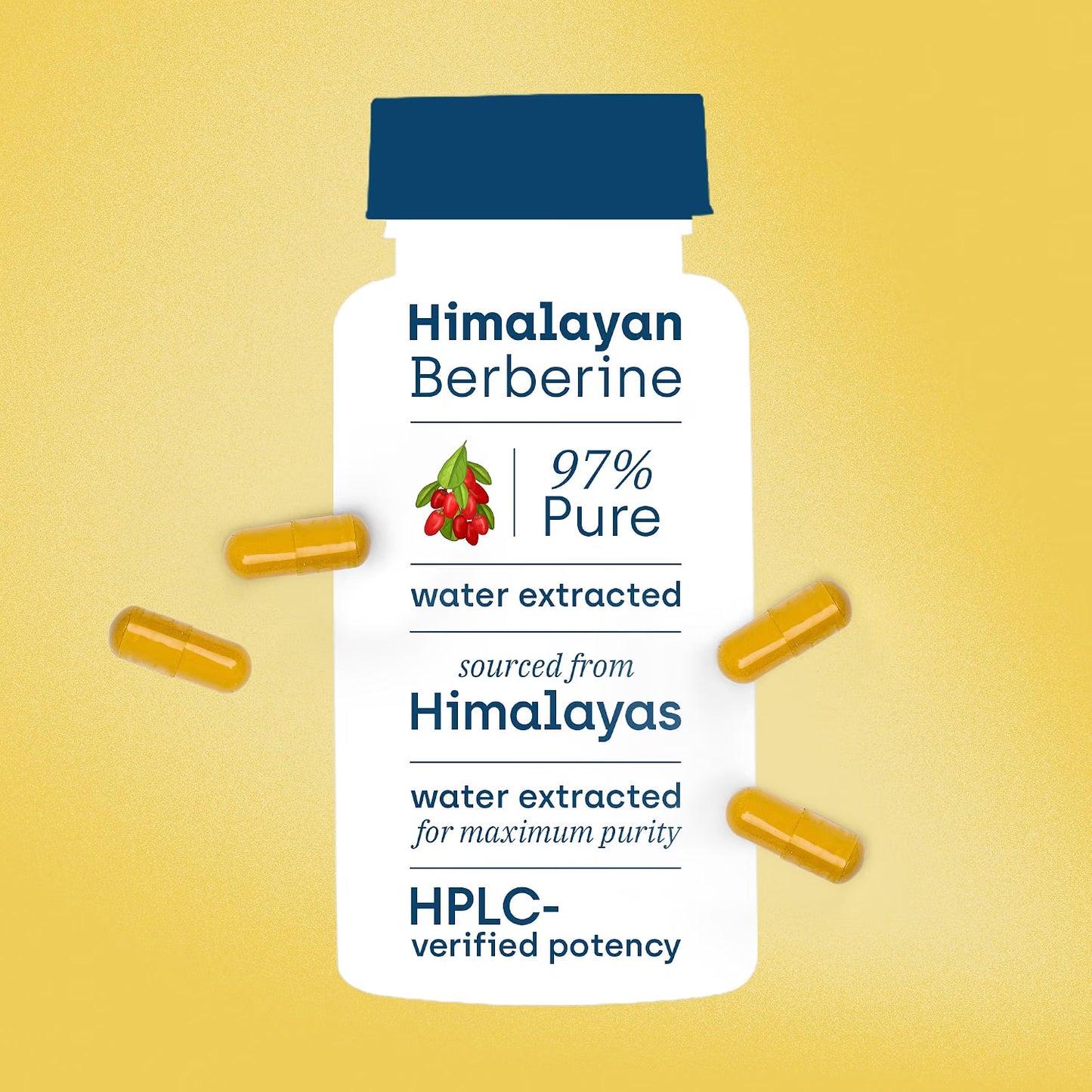 The Oak Age Berberine HCl 97% with Milk Thistle Supplement, 1200 mg| 60 Capsules