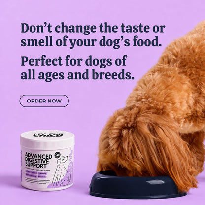 My Fur Child Advanced Digestive Support for Dogs | 3.2 Billion CFU 9-Strain Probiotics, Digestive Enzymes, Pumpkin & Prebiotics | Supports Gut Health, Digestion & Stool Quality | Lasts Up to 60 Days