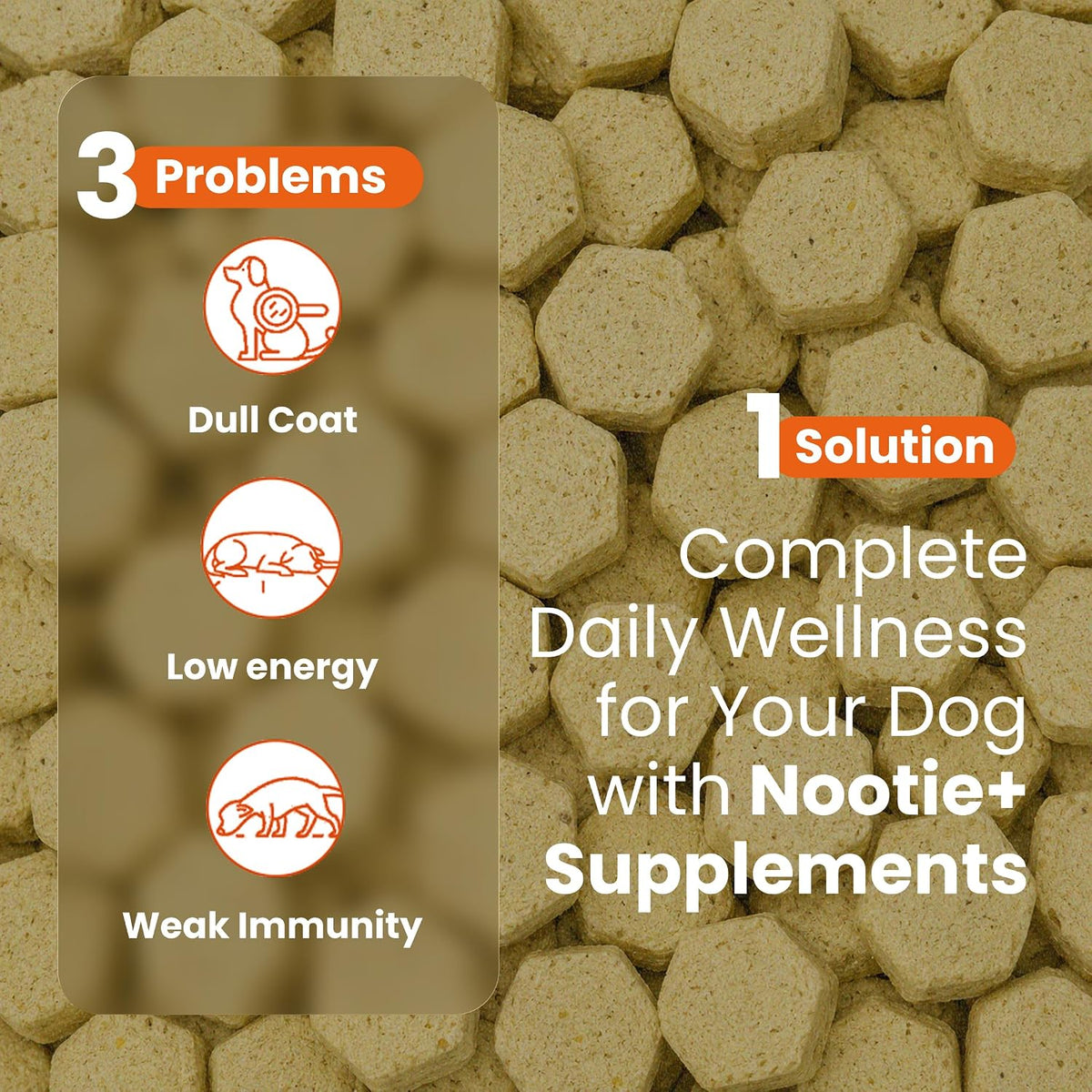 Nootie Daily Multivitamin for Dogs | Vitamins, Minerals & 7 Essential Amino Acids | Immune Boost, Better Vision, Healthy Skin Vet-Formulated Soft Chews | 30 Chews (All Breeds & Life Stages) 16in1