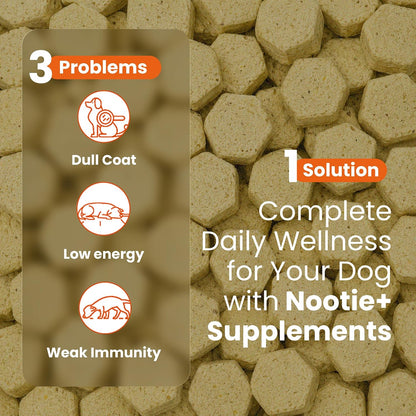 Nootie Daily Multivitamin for Dogs | Vitamins, Minerals & 7 Essential Amino Acids | Immune Boost, Better Vision, Healthy Skin Vet-Formulated Soft Chews | 30 Chews (All Breeds & Life Stages) 16in1