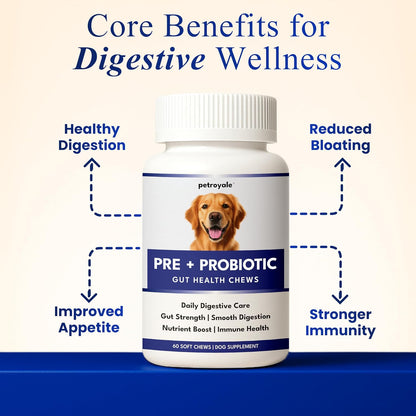 Petroyale Dog Pre+ Probiotic & Prebiotic Chews – Probiotics for Dogs – Dog Gut Health Supplement – Relieves Diarrhea, Improves Digestion & Immunity – 60 Soft Chews