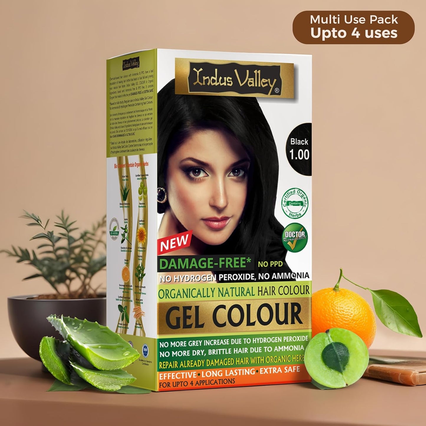 INDUS VALLEY Damage Free Natural Gel Hair Colour for Women | Ammonia & PPD Free Organic Hair Colour with 100% Grey Coverage, Long Lasting Conditioning Hair Color | Black 1.00-220 ml
