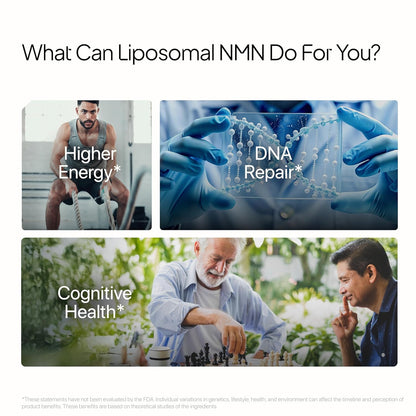Decode Age Liposomal NMN | 99.9% Pure β‑NMN | NAD⁺ Booster | High Absorption for Energy, Metabolism, DNA Repair, Healthy Aging | 500 mg, 30 Veg Capsules