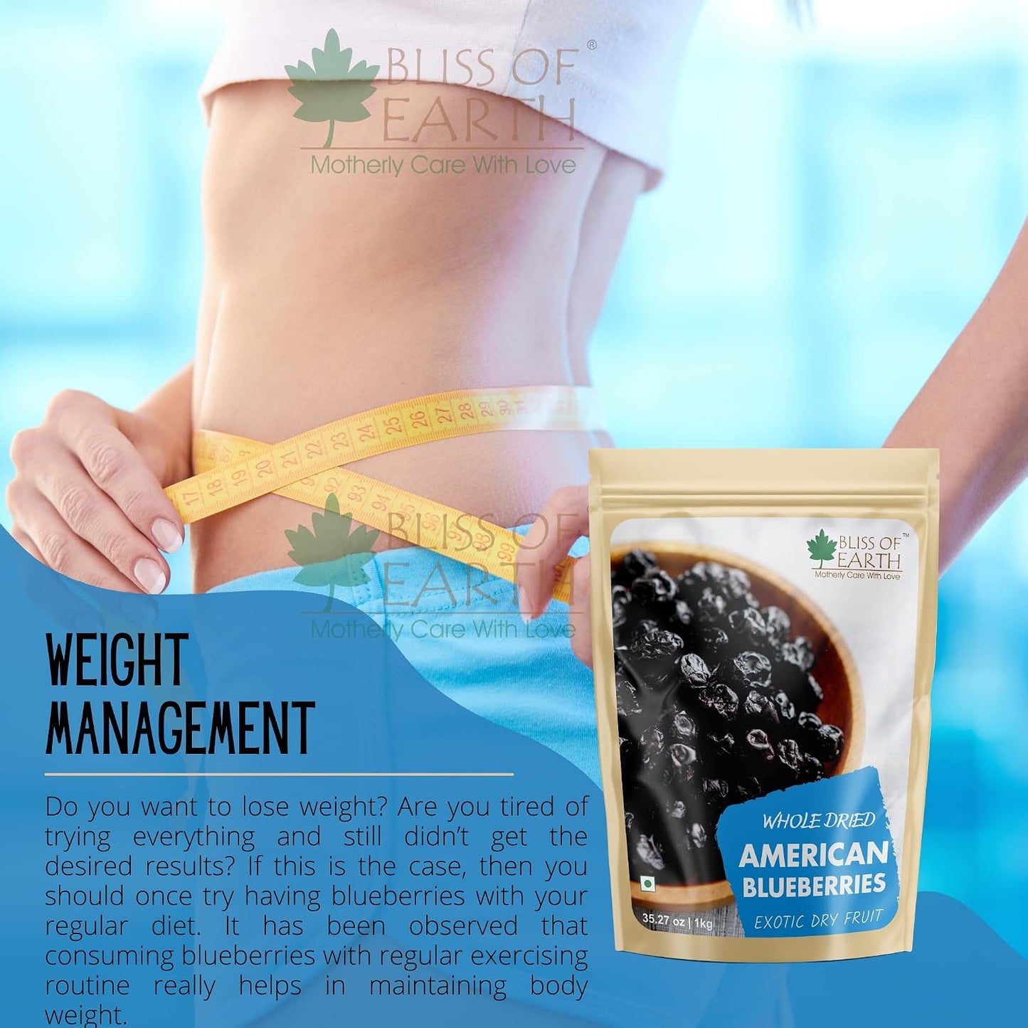 Bliss of Earth 500gm Whole Dried American Blueberries Exotic Dry Fruit King of Antioxidant