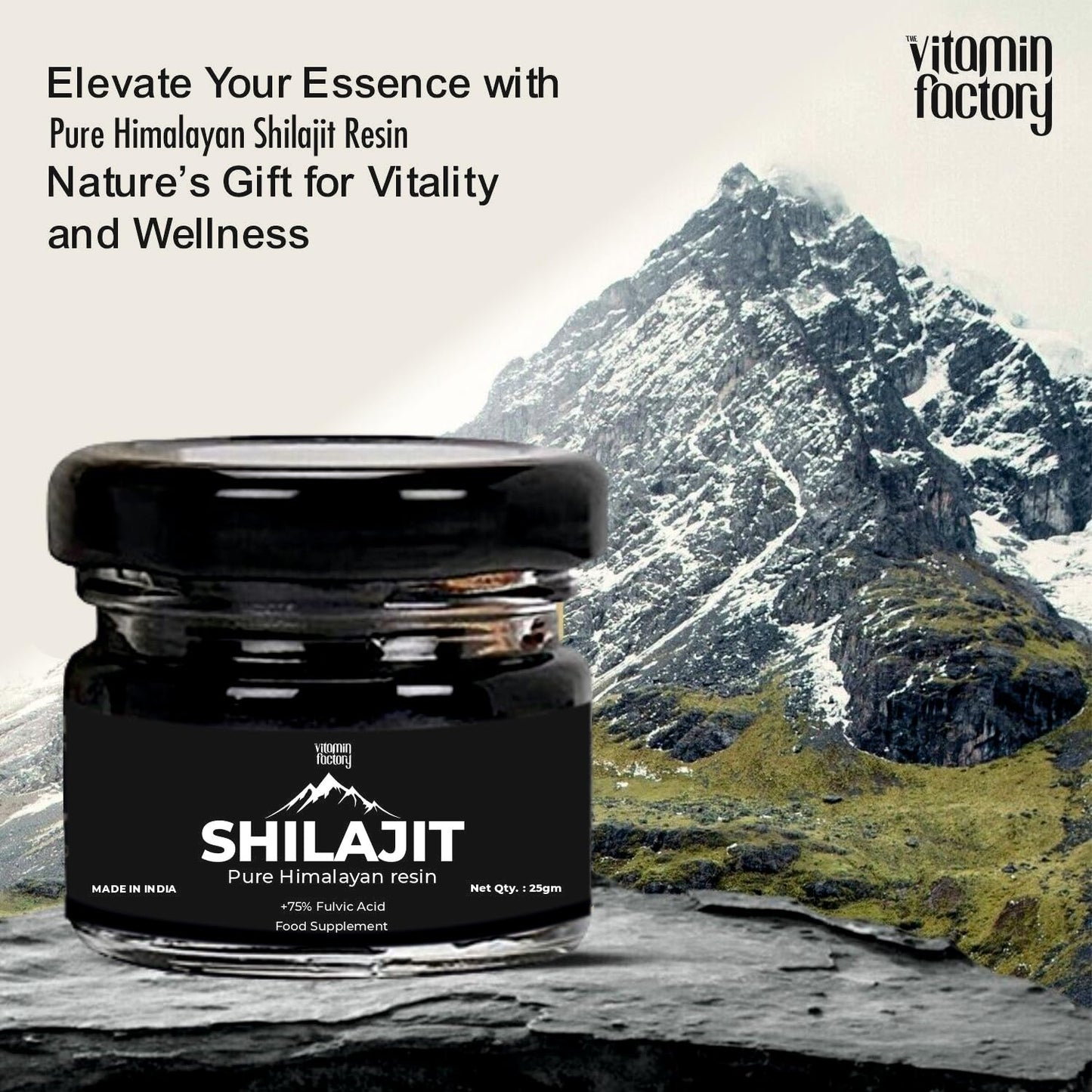 The Vitamin Factory Premium Himalayan Shilajit Resin +75% Fulvic Acid Natural Energy Booster 25g