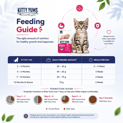 Kitty Yums Kitten (1-12 Months) Dry Cat Food 1.2kg Pack | Ocean Fish Flavour | Support Digestive Health | Strong Vision Development | Strong Immune System