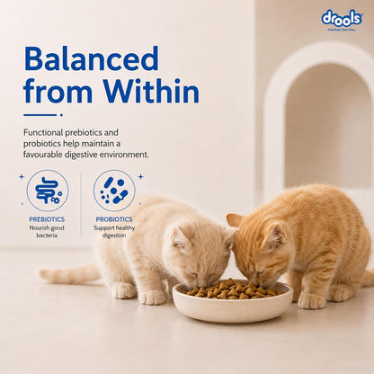 Drools Kitten Dry Cat Food 1.2kg | Ocean Fish Flavour | Promotes Soft Skin & Shiny Coat | Complete Nutrition | Supports Digestion | Aids Growth Development