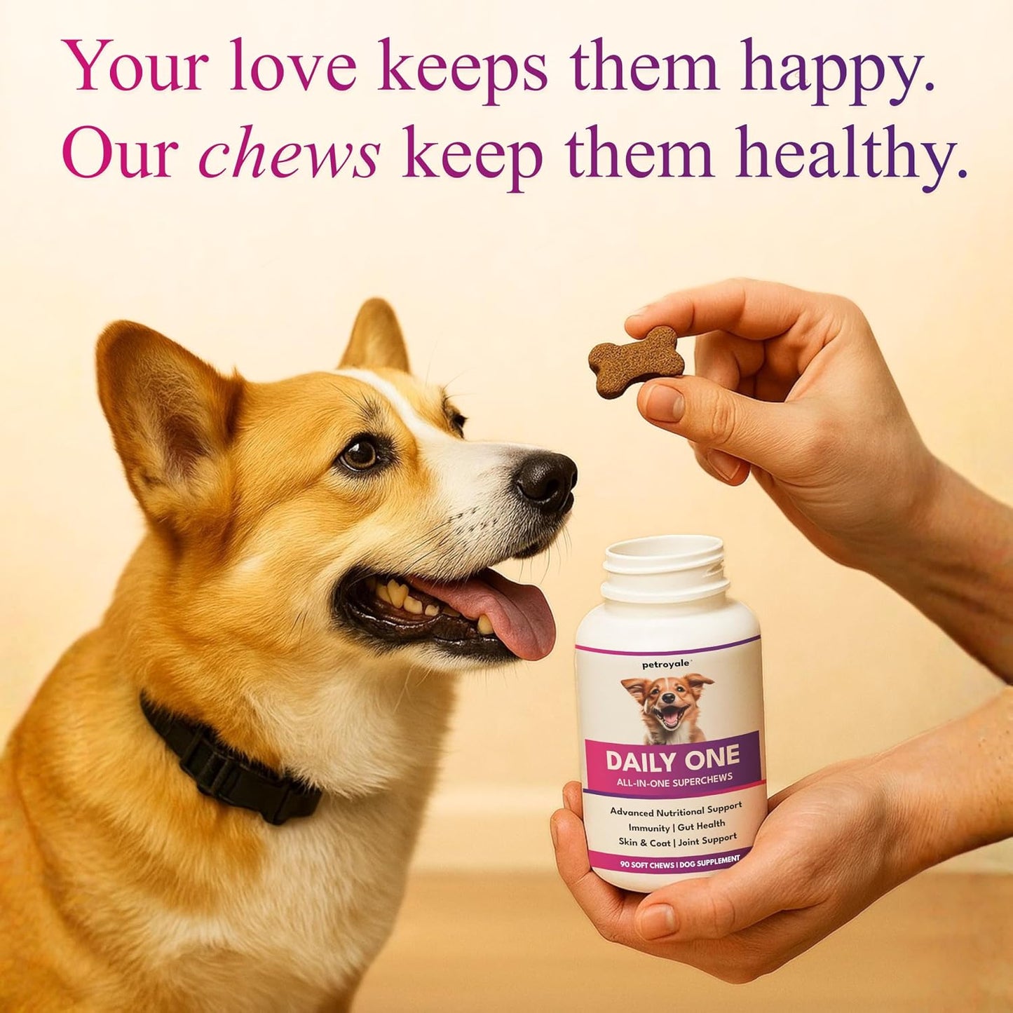 Petroyale Daily One, All-in-One Supplement for Dogs – 25 in 1, Dog Multivitamin, Probiotics, Omega 369, Hip & Joint, Skin & Coat, Gut Health – Soft Chew Dog Everyday Supplement for Dogs (90 Chews)