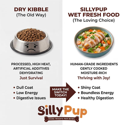 Silly Pup Paneer Dog Wet Food | Gently Cooked - Vegetarian | Real Paneer, Yellow Dal & Basmati Rice | Turmeric, Ashwagandha & Chia Seeds | Real Ingredients | Vet Crafted | 100g (1 Pouch - 100g)