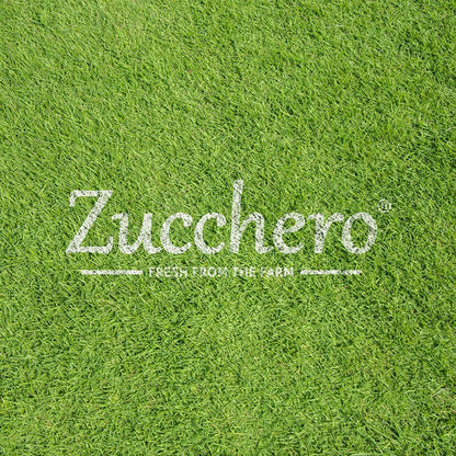 Zucchero Roasted Premium Sunflower Seed, Salted, Flavorful | Healthy Fat | Dry Roasting | Oil-Free| Slow baked Seeds